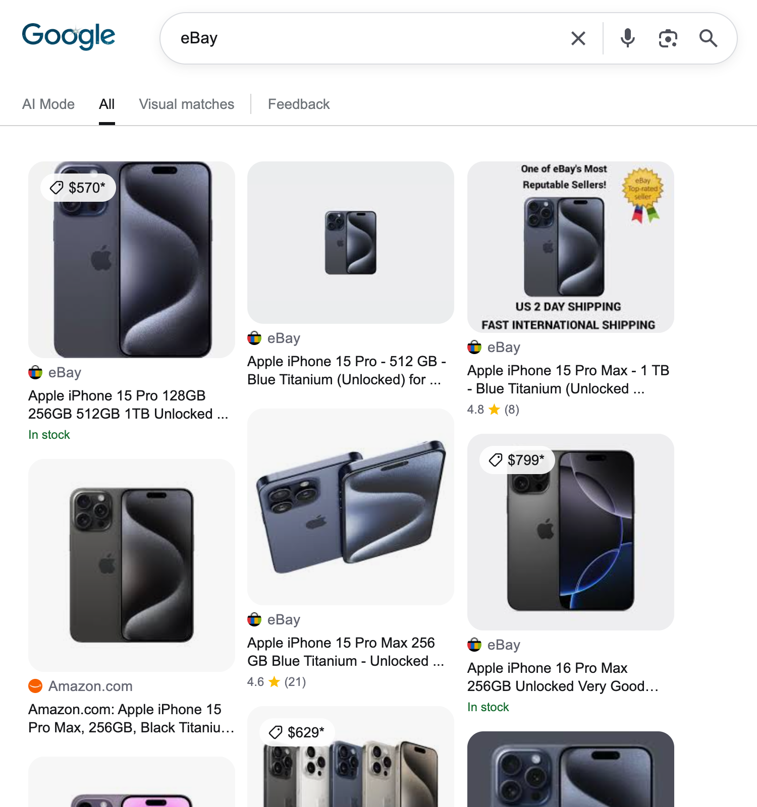 Search Type - Visual Matches with Query