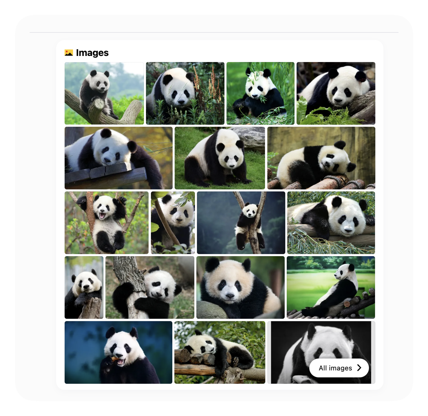 Inline Images