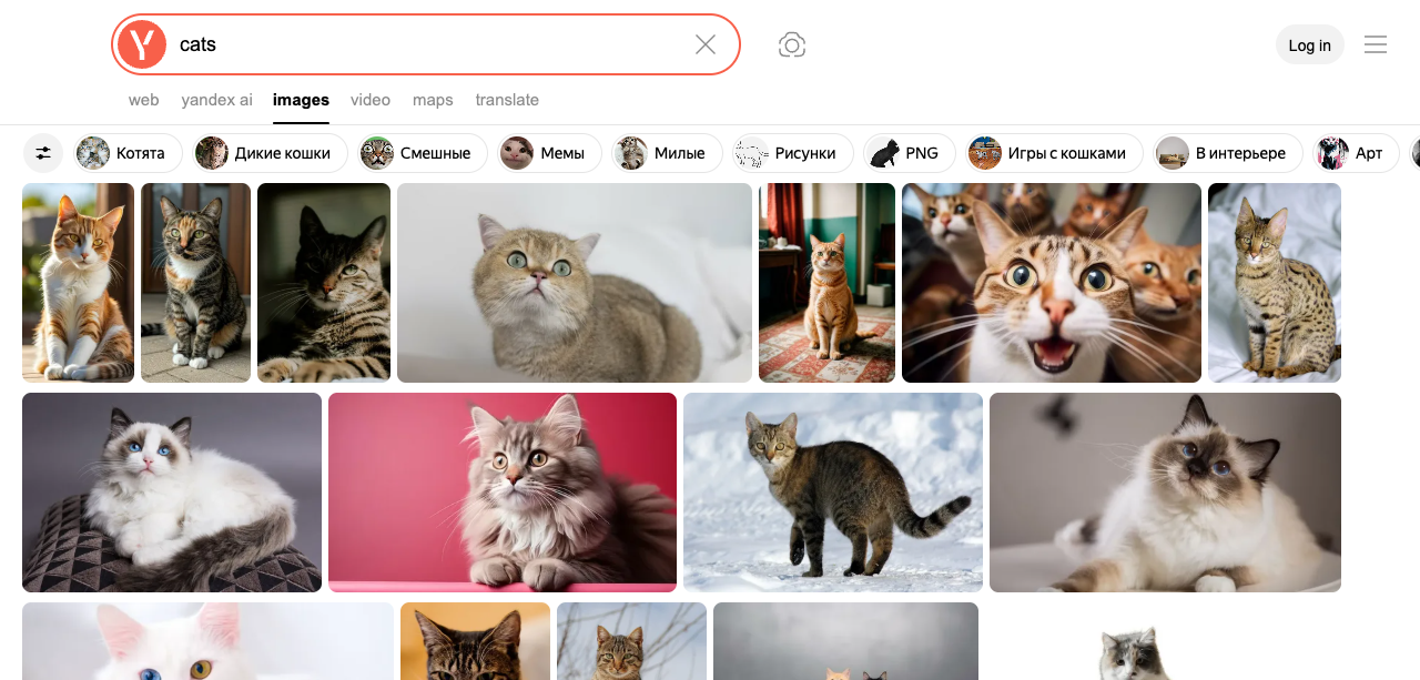 Image Results